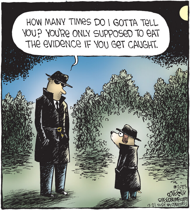 Speed Bump for Dec 21, 2023