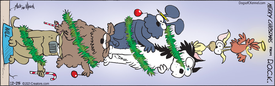 Dogs of C-Kennel for Dec 25, 2021