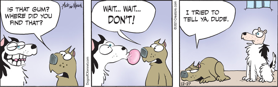 Dogs of C-Kennel for Dec 27, 2021