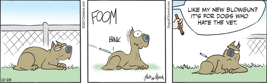 Dogs of C-Kennel for Dec 28, 2021