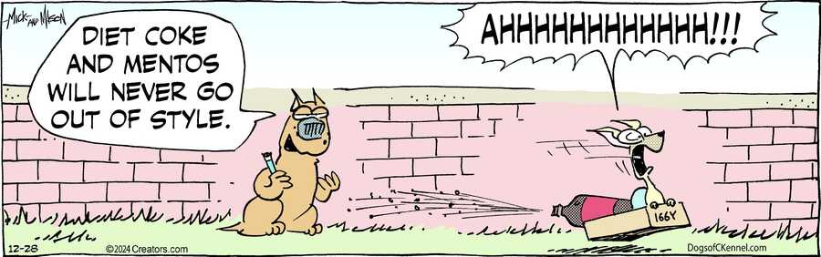 Dogs of C-Kennel for Dec 28, 2024