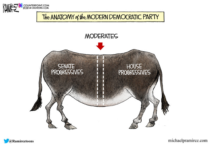Michael Ramirez for Nov 01, 2021