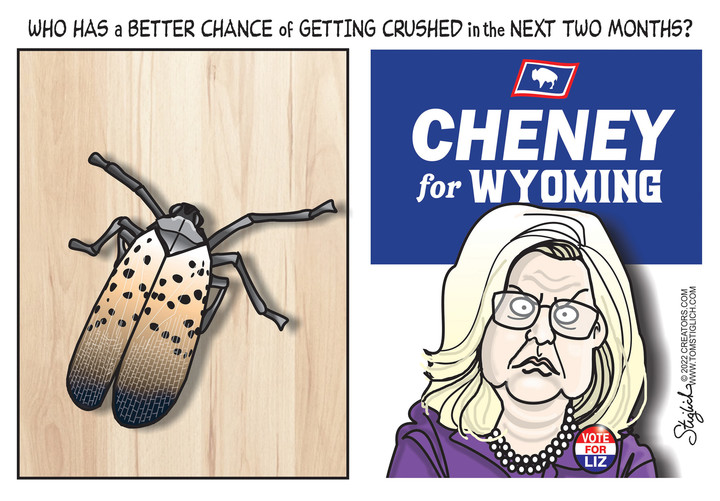 Tom Stiglich for Jul 11, 2022