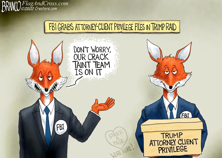 A.F. Branco for Aug 31, 2022