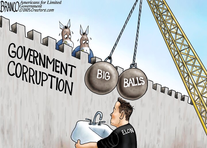 A.F. Branco for Feb 11, 2025