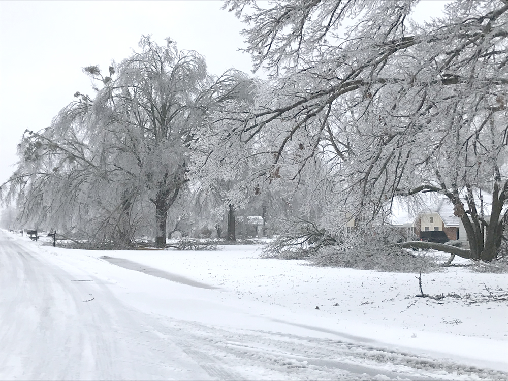 Ice storm inflicts devastation in Tallahatchie County, North