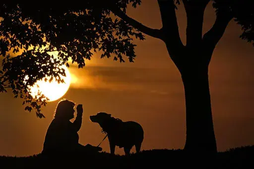 A woman plays with a dog at sunset, Saturday, Nov. 6, 2021, at a park in Kansas City, Mo. In August 2022, health officials are warning people who are infected with monkeypox to stay away from household pets, since the animals could be at risk of catching the virus. (AP Photo/Charlie Riedel, File)