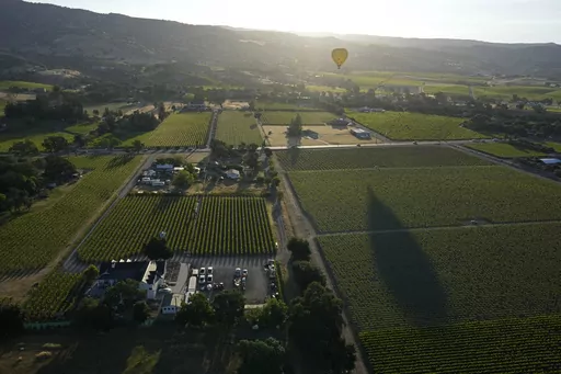 A hot air balloon floats over vineyards, seen from a Napa Valley Aloft balloon, in Napa, Calif., Monday, June 19, 2023. This year, wine grapes are thriving after a winter of record amounts of rain fell in California, but a recent trip high above the valley in a hot air balloon revealed miles of lush, green vineyards — the only blemish coming from shadows cast by the balloons themselves. (AP Photo/Eric Risberg)