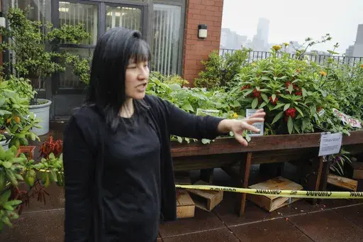 Beatrice Chen, executive director of Immigrant Social Services, walks by the garden of the Senior Living Chung Pak complex, Thursday, Aug. 8, 2024, in New York. (AP Photo/Kena Betancur)