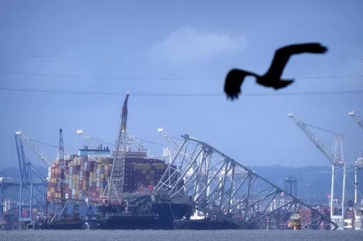 A bird flies past the collapsed Francis Scott Key Bridge resting on the container ship Dali on Sunday, May 12, 2024, in Baltimore, as seen from Riviera Beach, Md. An effort to remove sections of the collapsed bridge resting on the Dali was postponed on Sunday. (AP Photo/Mark Schiefelbein)