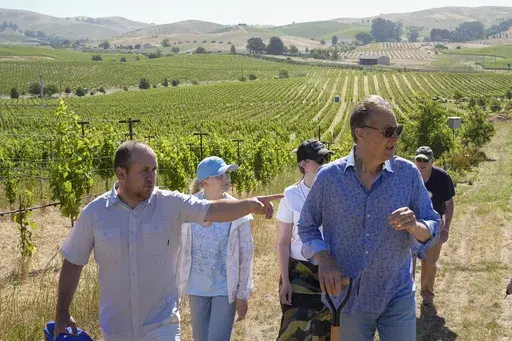 Ukrainian winemaker Georgiy Molchanov, left, asks a question to Ivo Jeramaz, right, during a tour of a Grgich Hills Estate's vineyard Wednesday, June 5, 2024, in American Canyon, Calif. (AP Photo/Godofredo A. Vásquez)