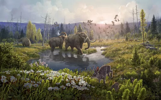 This illustration provided by researchers depicts Kap Kobenhavn, Greenland, two million years ago, when the temperature was significantly warmer than northernmost Greenland today. Scientists have analyzed 2-million-year-old DNA extracted from dirt samples in the area, revealing an ancient ecosystem unlike anything seen on Earth today, including traces of mastodons and horseshoe crabs roaming the Arctic. (Beth Zaiken via AP)