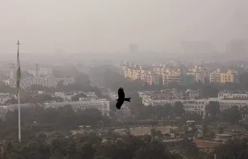 A bird flies through a thick layer of smog in New Delhi, India, Nov. 20, 2024. (AP Photo/Manish Swarup, File)