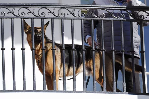 President Joe Biden's dog Commander looks out from the balcony during a pardoning ceremony for the national Thanksgiving turkeys at the White House in Washington, Nov. 21, 2022. Secret Service records show that President Joe Biden's dog Commander has bitten its officers stationed at the White House 10 times between October 2022 and January. At least one biting incident required a trip to the hospital for the injured officer. (AP Photo/Carolyn Kaster, File)