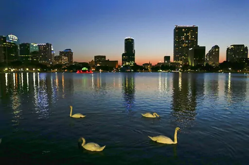 In this Monday, May 19, 2014 photo, swans swim in Lake Eola as the sun sets in Orlando, Fla.  Ballots haven't even been printed yet, but already a group of landlords and real estate agents in Florida are trying to stop voters from deciding on a measure that would implement rent control for a year in the theme park hub that has been one of the fastest-growing metro areas in the U.S. (AP Photo/John Raoux, File)