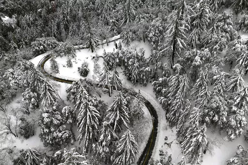 State Route 138 winds through snow-covered trees near Hesperia, Calif., Wednesday, March 1, 2023. Tremendous rains and snowfall since late last year have freed half of California from drought, but low groundwater levels remain a persistent problem, U.S. Drought Monitor data showed Thursday, March 2. (AP Photo/Jae C. Hong)