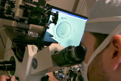 An embryologist uses a microscope to examine an embryo, visible on a monitor, center, at a clinic in New York on Thursday, Oct. 3, 2013. Black-white disparities exist in fertility medicine, according to a study of U.S. births, released on Wednesday, Oct. 19, 2022. Researchers found a gap in deaths of infants born to Black women who used fertility treatment compared to white women, a gap much wider than seen in babies born without fertility treatment. (AP Photo/Richard Drew)