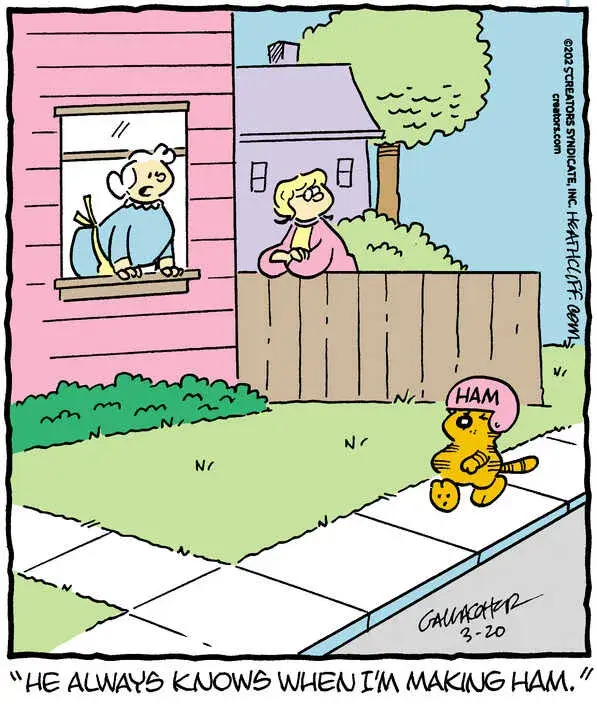 Heathcliff for Mar 20, 2025