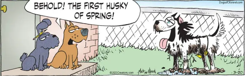 Dogs of C-Kennel for Mar 20, 2025