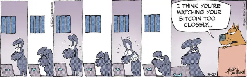 Dogs of C-Kennel for Mar 27, 2025