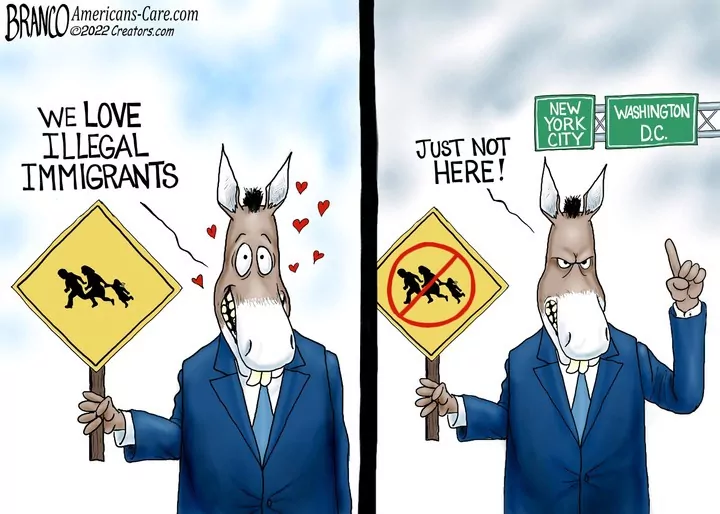 A.F. Branco for Aug 25, 2022