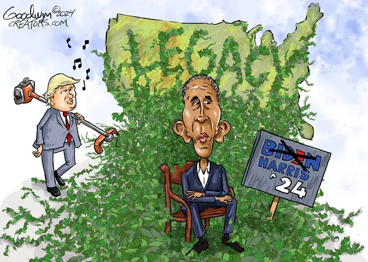 Al Goodwyn for Nov 13, 2024